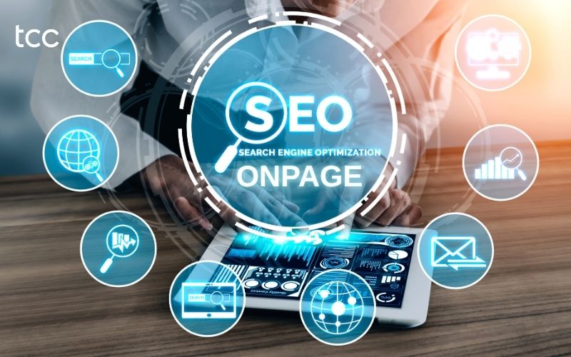 audit website seo