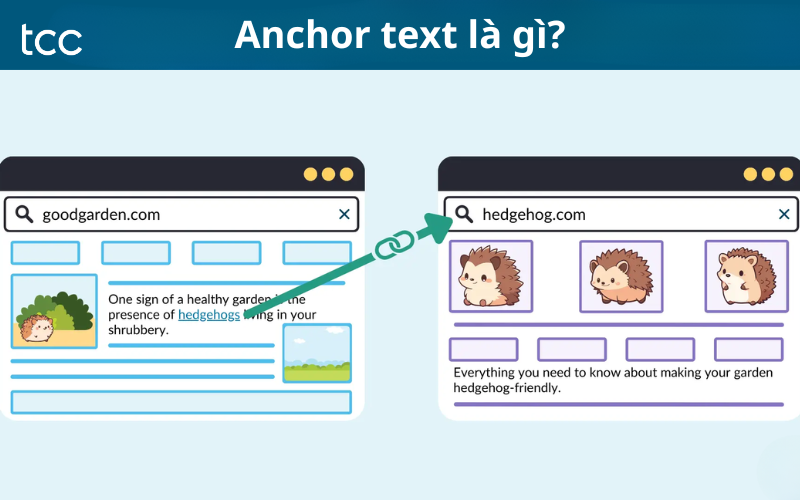 Anchor Text là gì