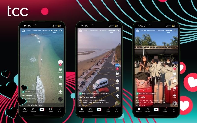 tiktok amplify là gì