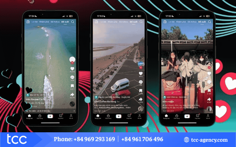 tiktok amplify là gì