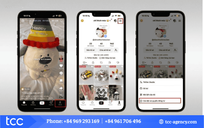 chương trình tiktok amplify là gì