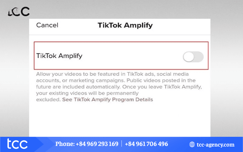 tiktok amplify có nên tham gia