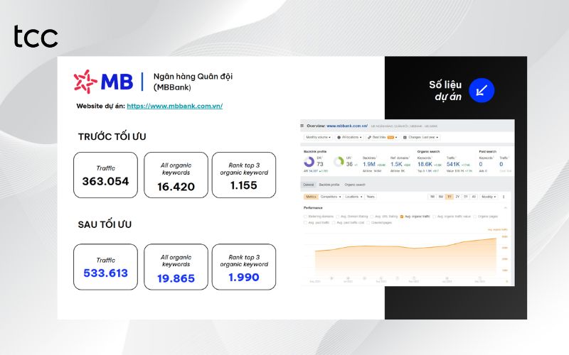 case study dịch vụ seo tại lâm đồng