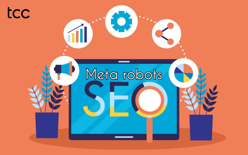 Thẻ Meta Robots là gì