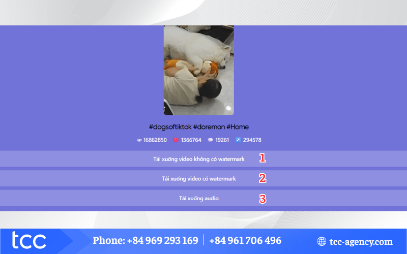 tiktok download mp3