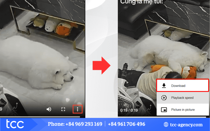 tiktok download android