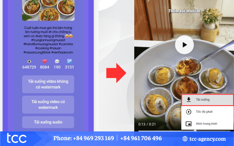 tiktok download no watermark