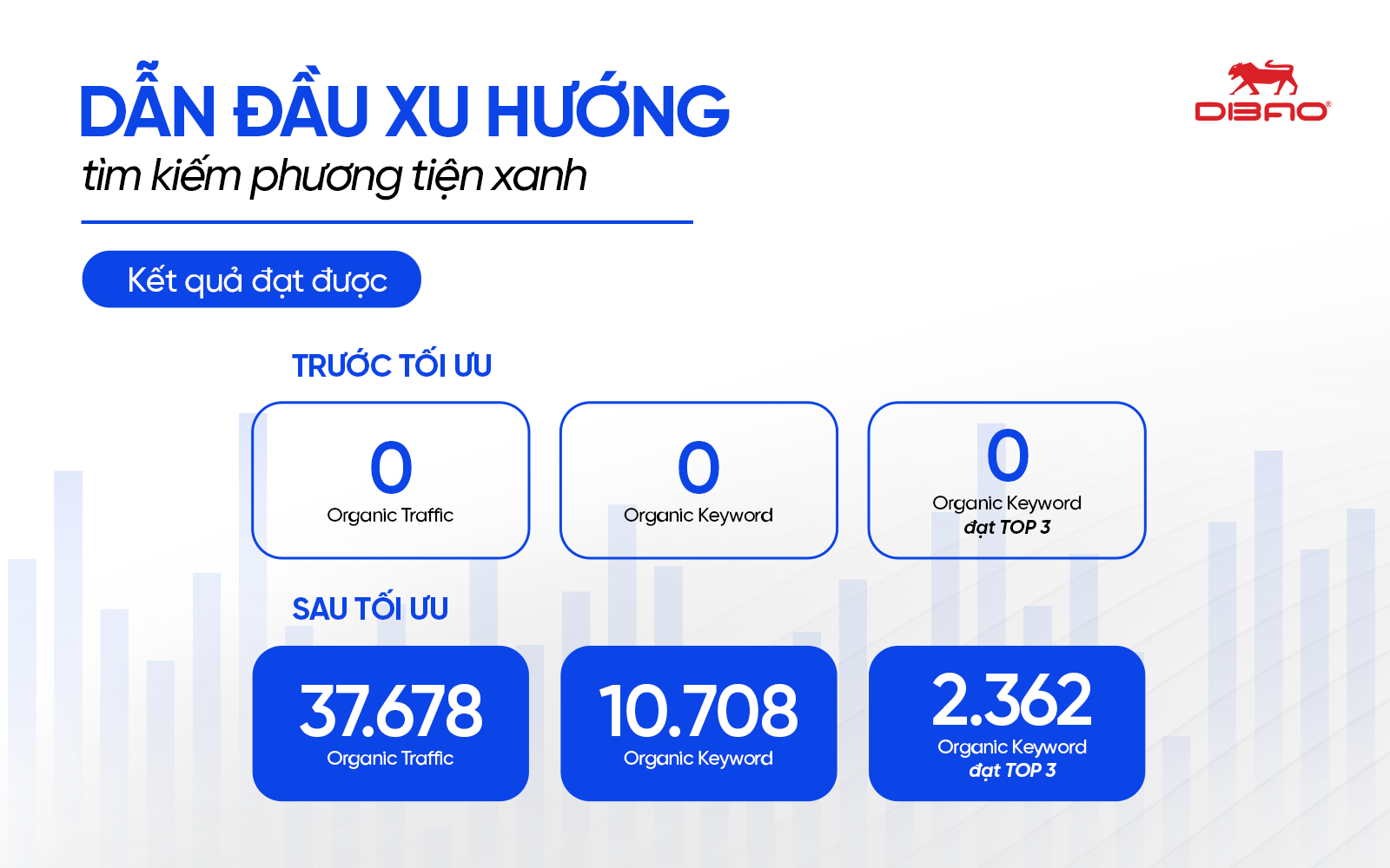 dự án seo dibao