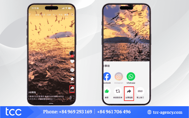 tải video tiktok trung quốc không logo