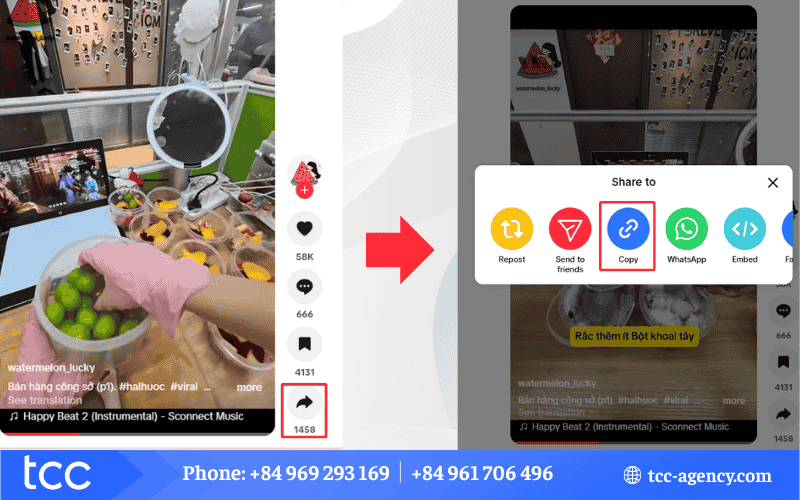 download video tiktok