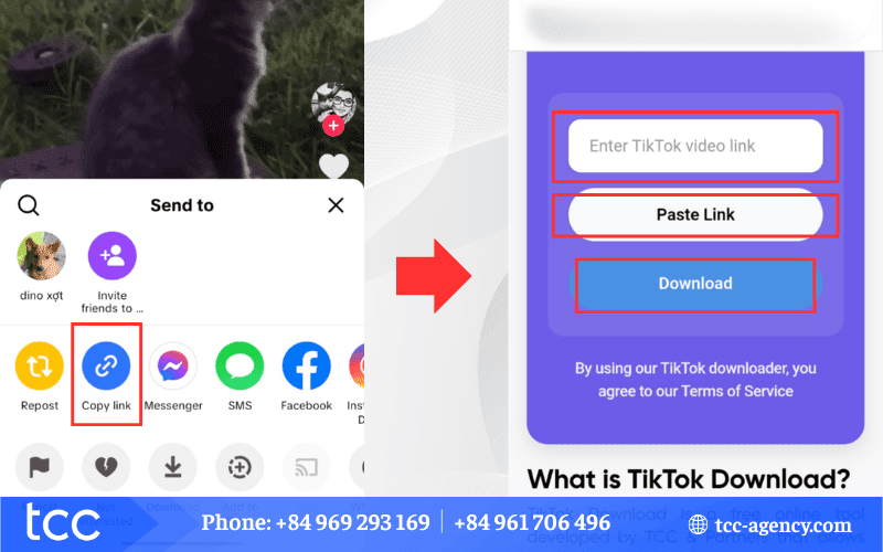 tiktok download online video