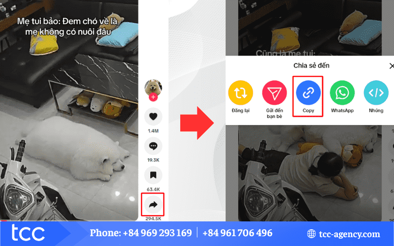 download tiktok video without watermarks