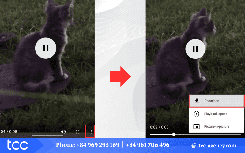 download video tiktok hd 1080p