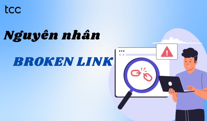 nguyên nhân broken link