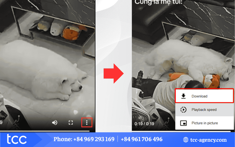 tại sao không tải được video tiktok