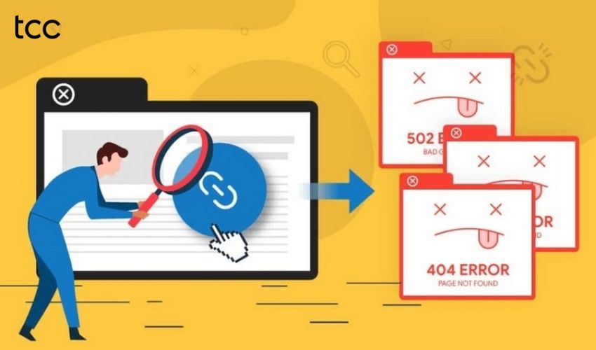 website bị broken link