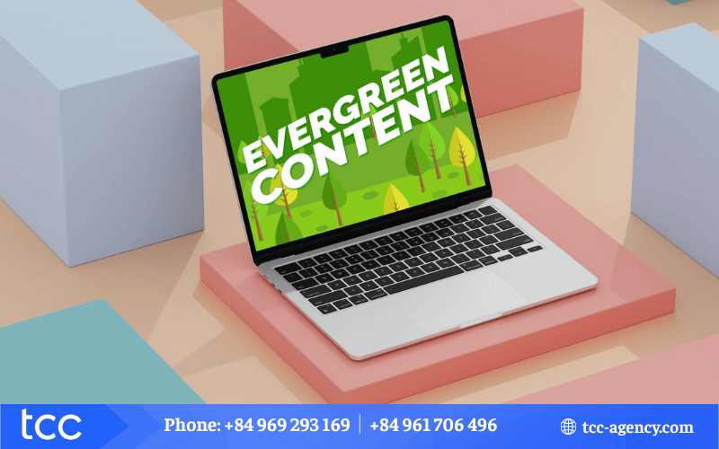 ví dụ về evergreen content