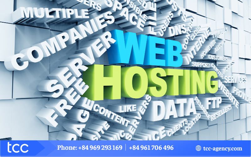 domain Hosting là gì