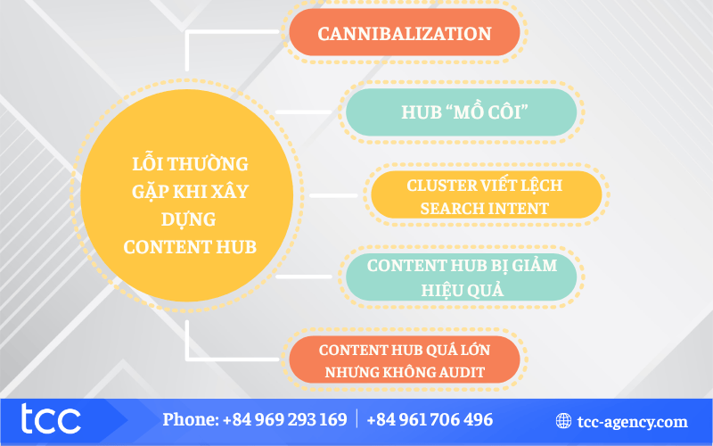 xây dựng content hub