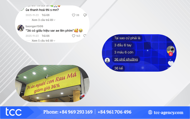 36 là gì trên tiktok 2026