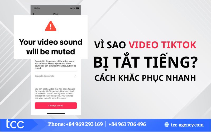 video tiktok bị tắt tiếng