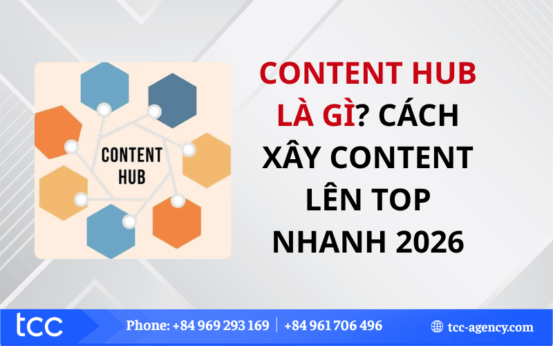 Content Hub là gì